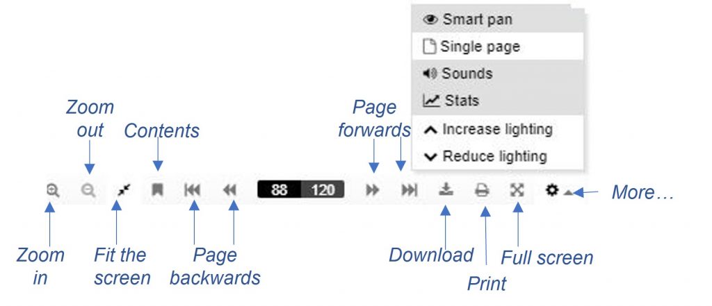 PDF viewer controls