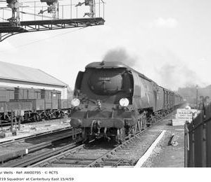 AW00795