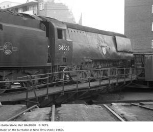 BALD050