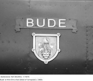 BALD051