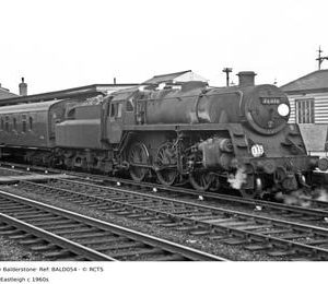 BALD054
