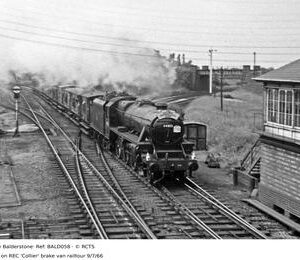 BALD058