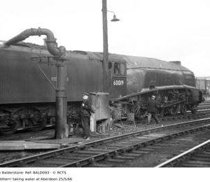 BALD093