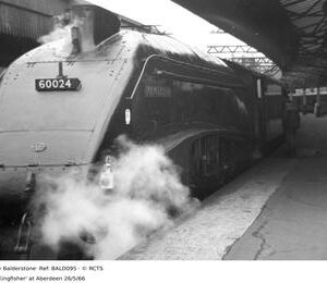 BALD095