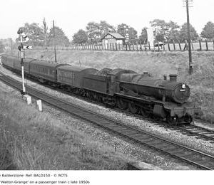 BALD150