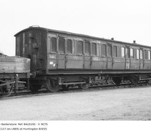 BALD195