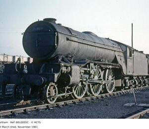 BEL0055C