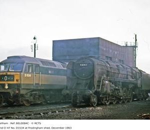 BEL0084C