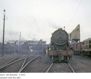 BEL0105C