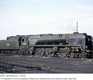 BEL0111C