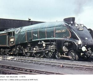 BEL0138C