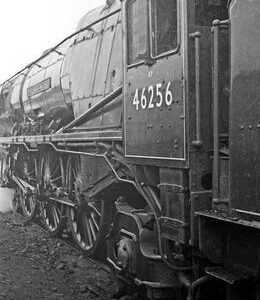 BRO0116VF