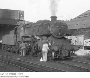 BRO0216