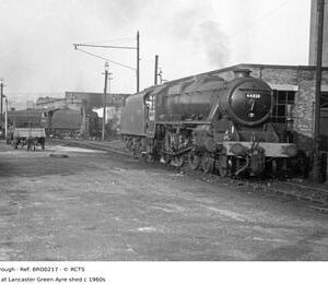 BRO0217