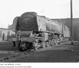 BRO0250