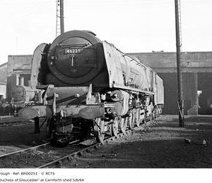 BRO0251