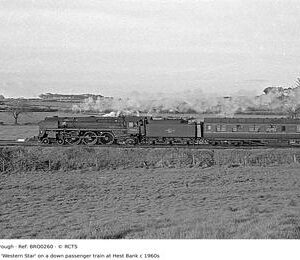 BRO0260
