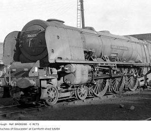BRO0288