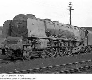 BRO0289