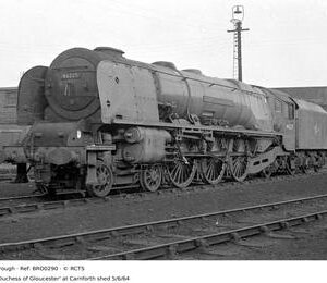 BRO0290