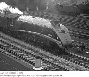 BRO0309