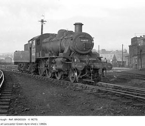 BRO0329