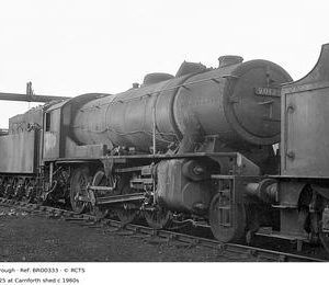BRO0333
