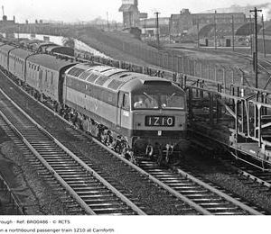 BRO0486