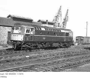 BRO0495