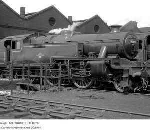 BRO0513