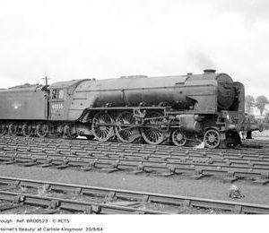 BRO0523