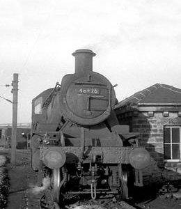 BRO0530VF