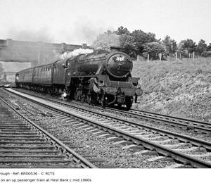 BRO0536