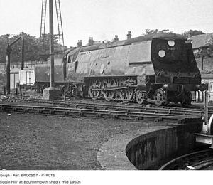 BRO0557