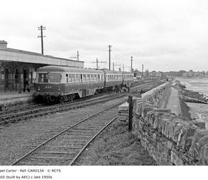 CAR0134