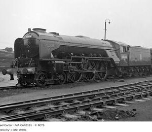 CAR0161