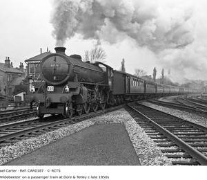 CAR0187