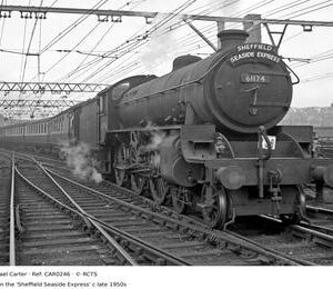 CAR0246