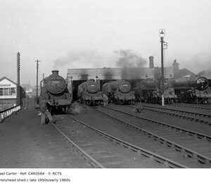 CAR0564