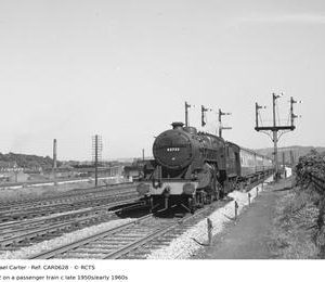 CAR0628
