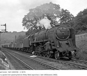CAR0700