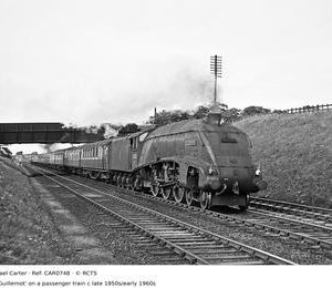 CAR0748