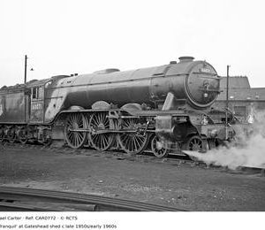 CAR0772