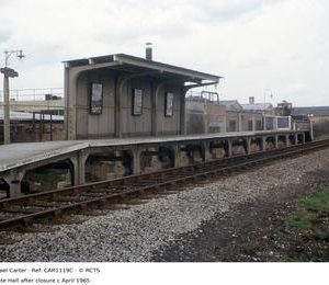 CAR1119C
