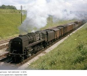 CAR1124C