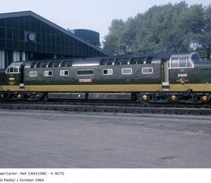 CAR1198C