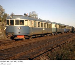 CAR1243C