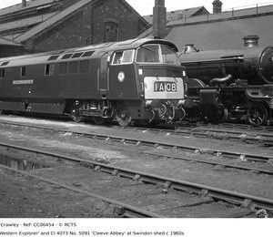 CC00454