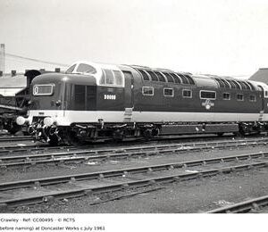 CC00495