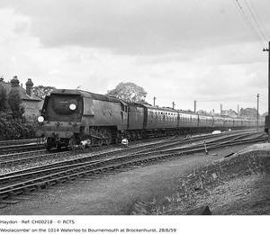 CH00218